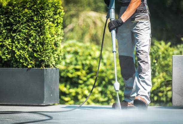 Best Gutter Cleaning  in Jonesville, MI